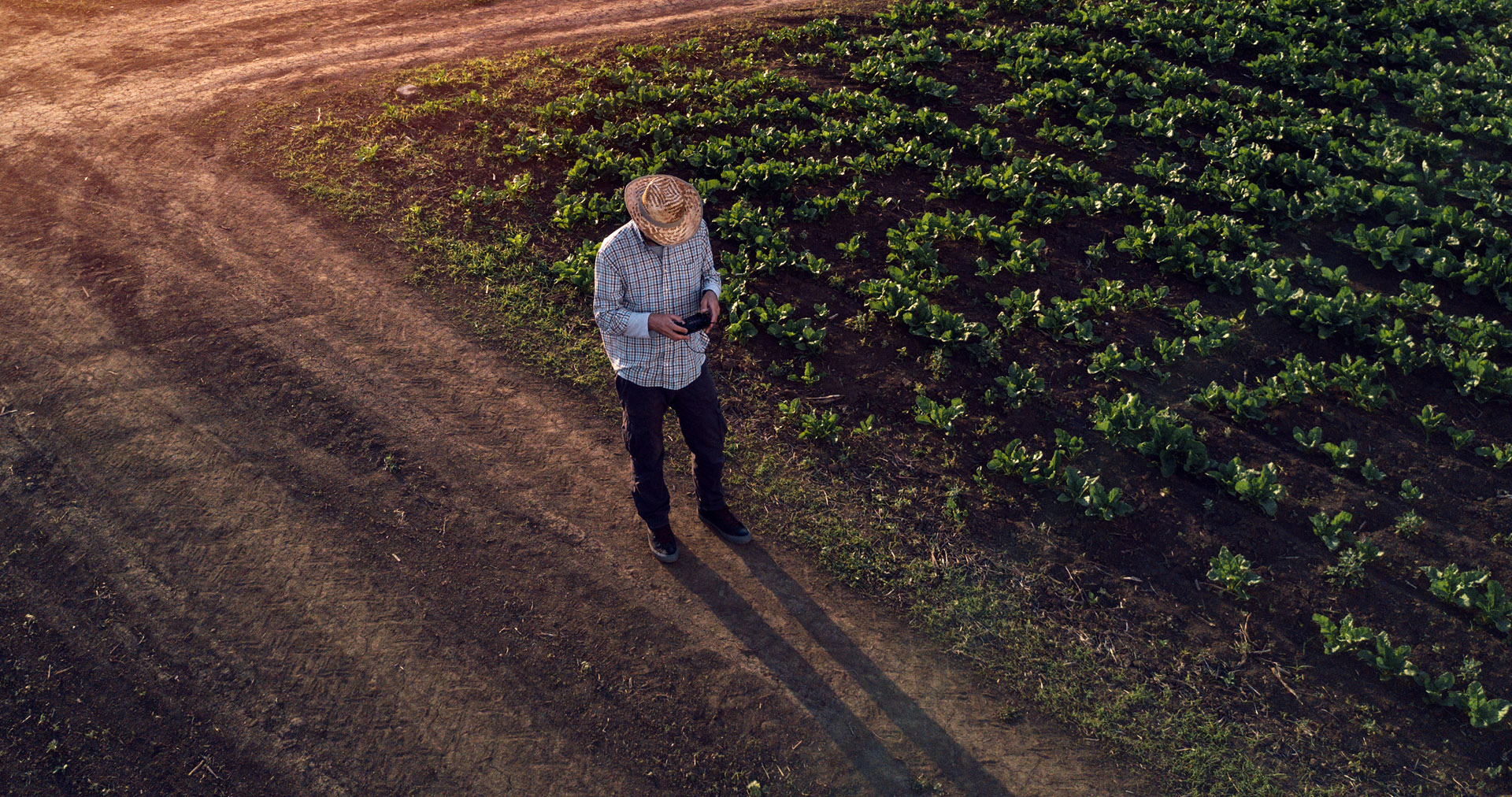 Man standing in field with mobile tablet device